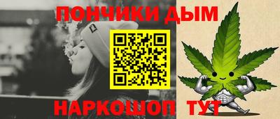 дмт Гатчина