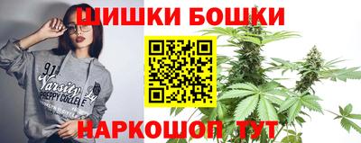 дмт Гатчина
