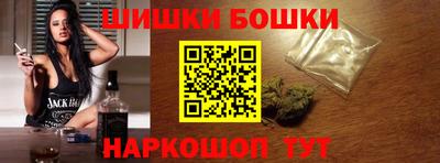 дмт Гатчина