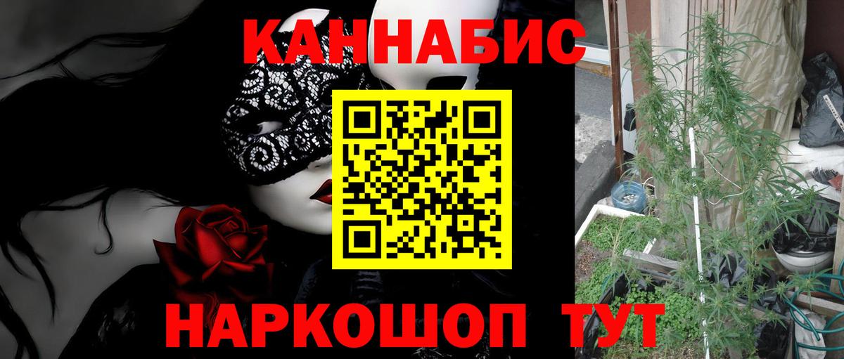 МАРИХУАНА сатива Семёнов